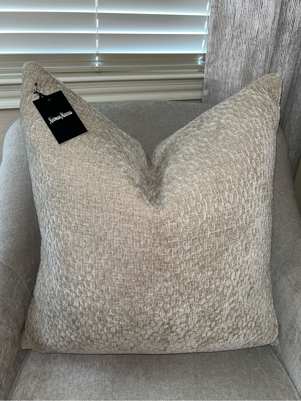 1-NWT NEIMAN MARCUS TEXTURE VELVET DESIGN DECORATIVE PILLOW (NH6200)